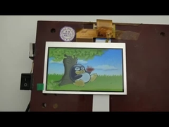 4.3 inch Full Color TFT LCD Display Panels 480x272 resolutie 40pin RGB interface