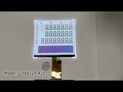 Segment COG LCD-module FSTN 24pin FPC 5,5 inch LCD-scherm voor elektronische schaal